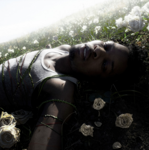Delivering an ethereal, symbolic cover for the album, d4vd’s “WITHERED” is a continuity of the themes he commonly sings about: love, loss, and heartbreak.